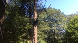 Derwent Hill 2018 -7