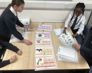 Food learning 