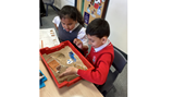 Year 4 history