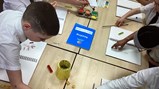 Year 5 scientists