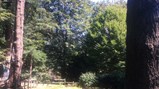 Derwent Hill 2018 -20