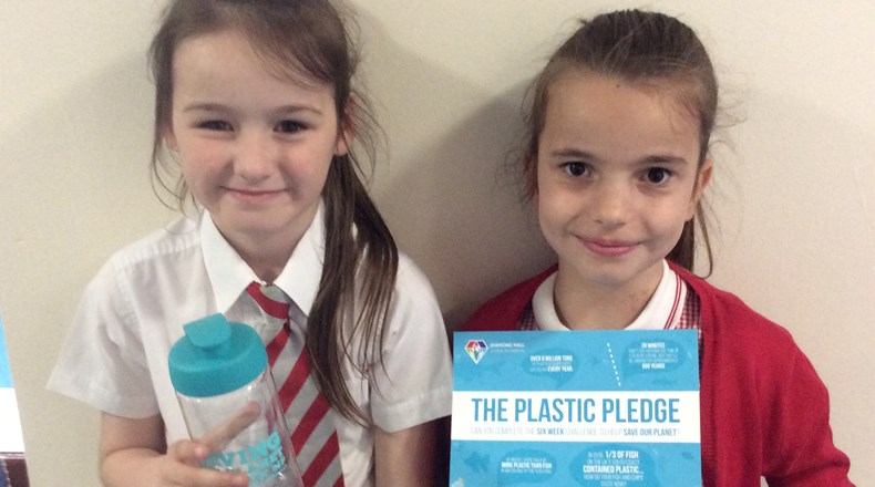 DH plastic pledge