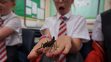 Animal visit