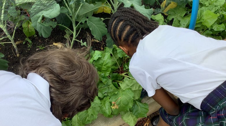 Gardening Club