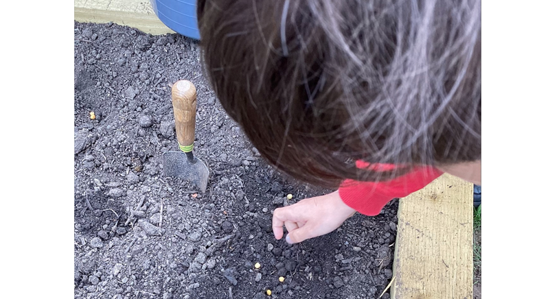 Year 4 Garden