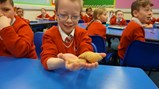 Mini beasts visit Diamond Hall!