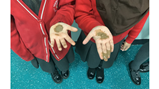 Year 4 science