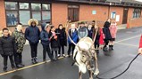 Reindeer
