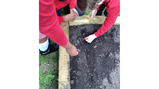 Year 4 garden