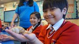 Mini beasts visit Diamond Hall!