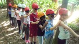 DerwentHill18_0_0088
