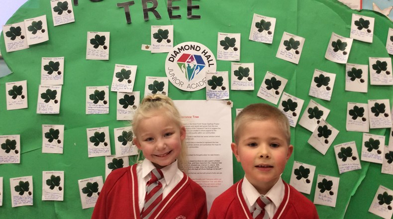 Diamond Hall Tolerance Tree Feb 2019