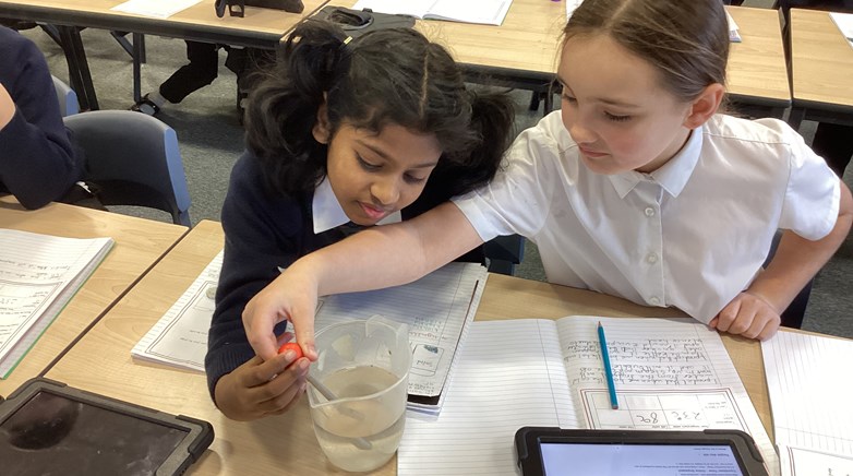 Science Year 4