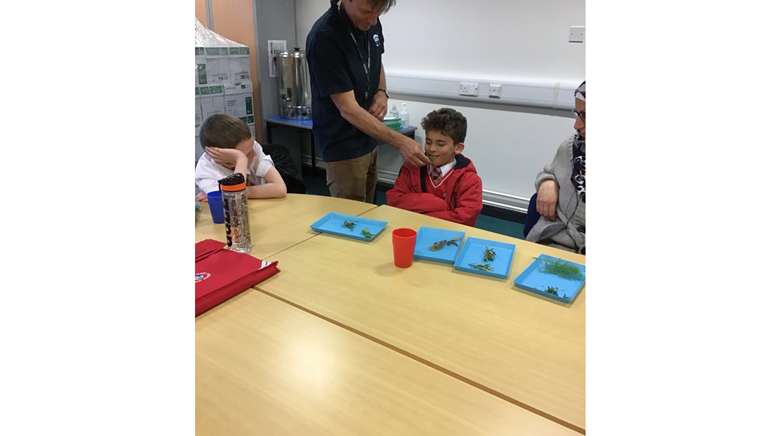Gardening club