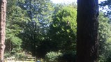 Derwent Hill 2018 -5
