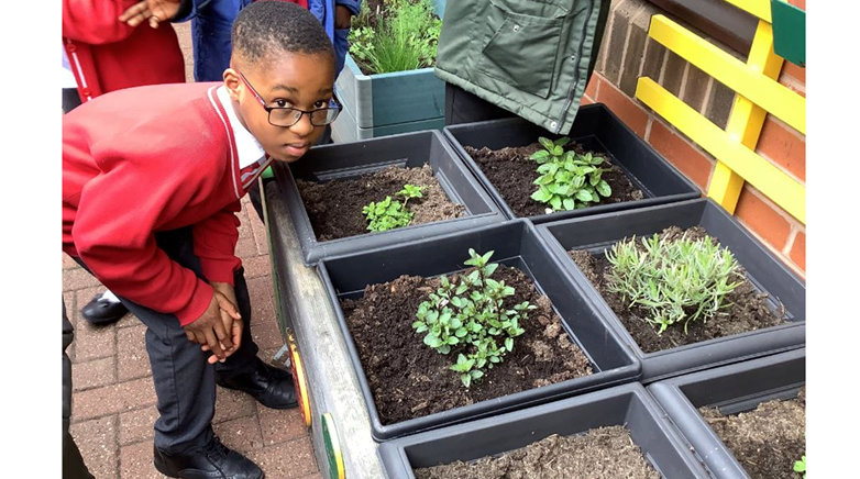 Year 4 garden