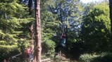 Derwent Hill 2018 -22