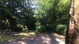 Derwent Hill 2018 - 2