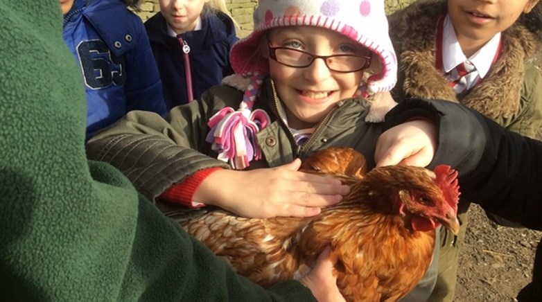Year 3 visit Broom House Farm