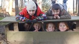 Year 3 visit the farm