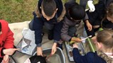 3AE become archaeologists