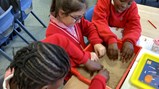 Year 4 history