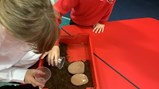 Year 4 habitats