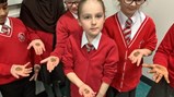Year 4 science