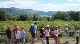 DerwentHill18_0_0082
