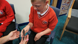 Animal visit 