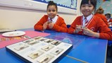 Mini beasts visit Diamond Hall!