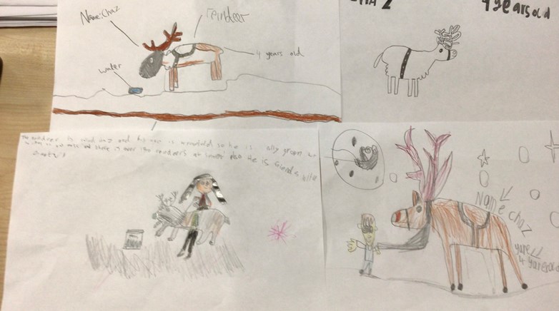 Reindeer