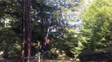Derwent Hill 2018 - 7