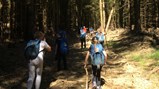 Derwent Hill 2018 -3