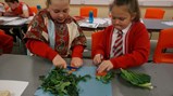 Y6 tudor banquet