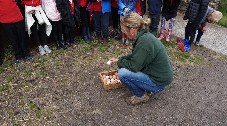 Year 3 visit Broom House Farm