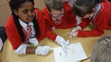 The Queens knickers activity 