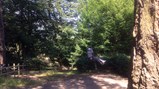 Derwent Hill 2018 - 8