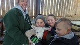 Year 3 visit the farm